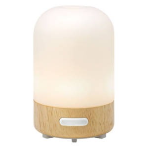 Eine moderne Lampe mit einem kuppelförmigen, opalenen Lampenschirm und einem Holzfuß.