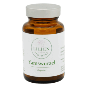 Yamswurzel