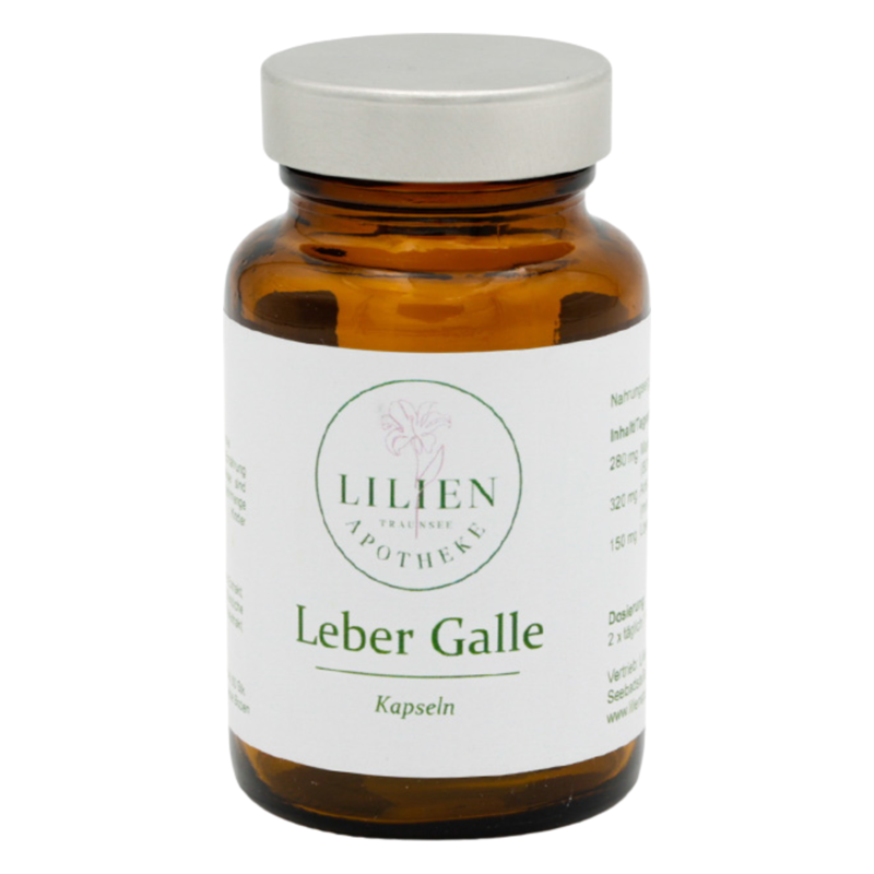 Leber Galle